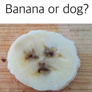 Meet your Posher, Jo